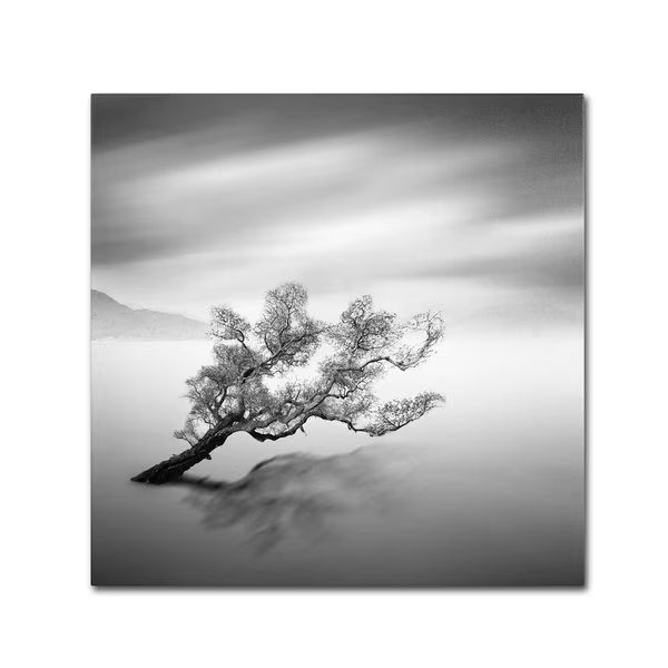Moises Levy 'Water Tree VI' Canvas Art, 24x24, Trademark Fine Art, Mfr#: ALI0093-C2424GG